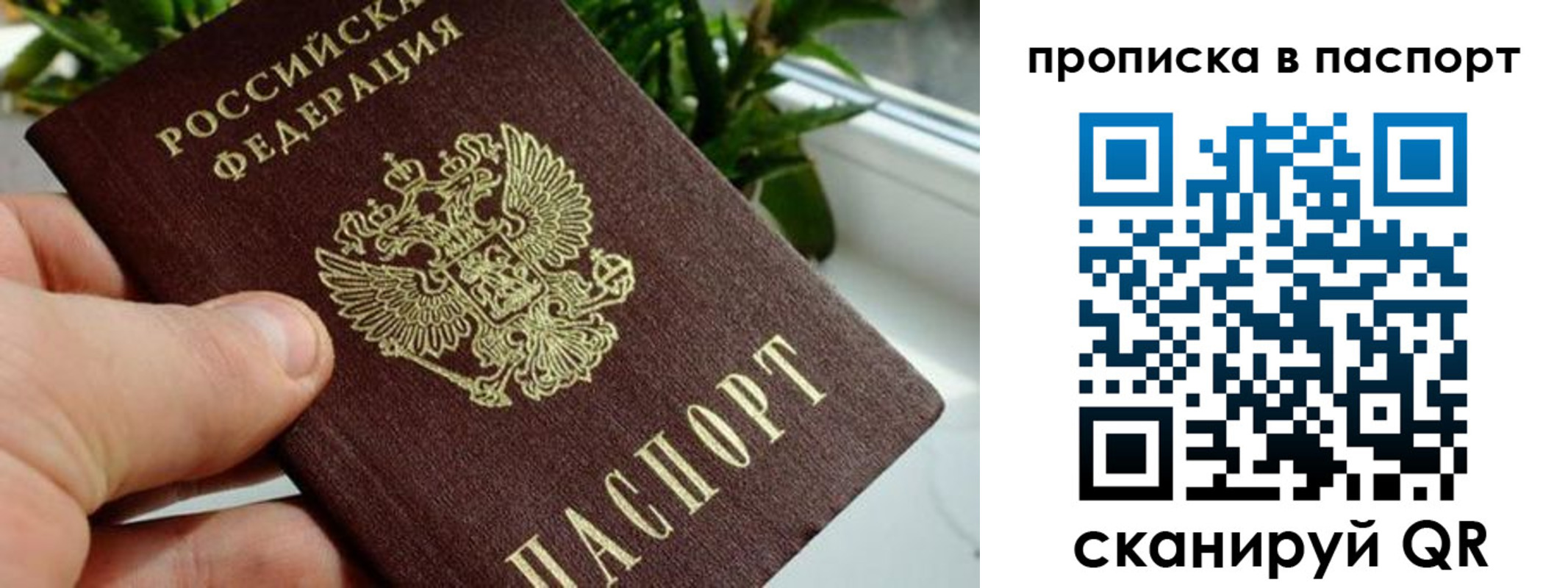 пропишу в квартире в Навашино